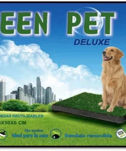 Carpeta Cesped GREEN 64x50