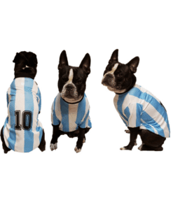 Ropa Camiseta Argentina Talle 1 (25 Cm.)