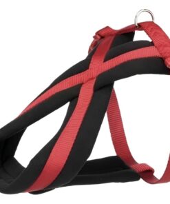 Arnes Cruzado Talle L