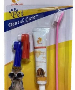 Dental Care Kit