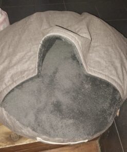 Moises Madriguera (60 cm)