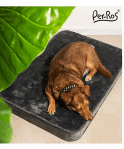 Colchoneta Praga 90x60x9