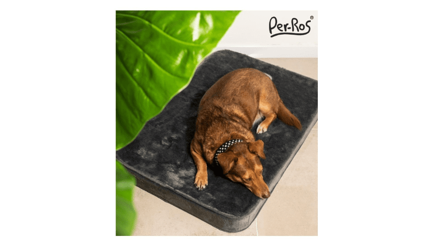 Colchoneta Praga 90x60x9