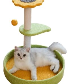 Rascador Importado Girasol (40x44)