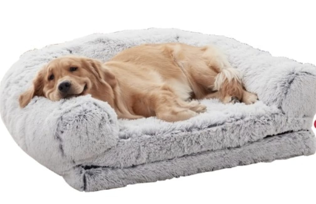 Sofa Cama Bristol (170x95x12) - Imagen 2