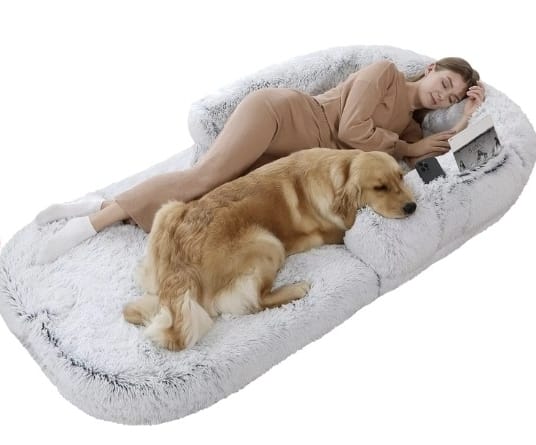 Sofa Cama Bristol (170x95x12)
