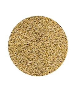 Semilla Alpiste x Kilo