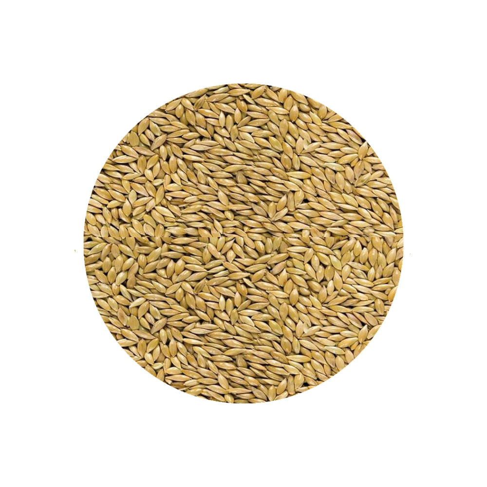 Semilla Alpiste x Kilo