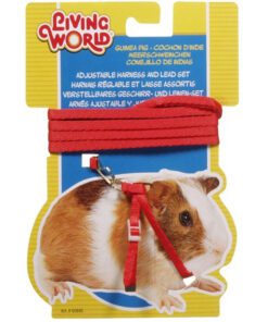 Conjunto Arnes y Correa Cobayo