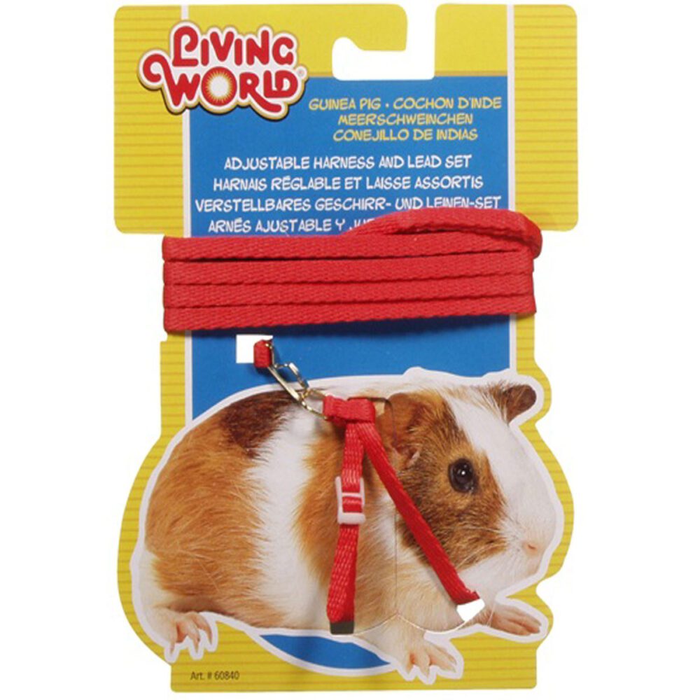 Conjunto Arnes y Correa Cobayo