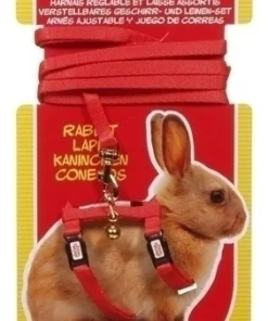 Conjunto Arnes y Correa Conejo