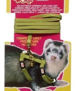 Conjunto Arnes y Correa Hurones