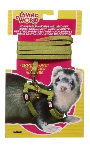 Conjunto Arnes y Correa Hurones