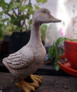 Adorno Pato Chicos 22 Cm.