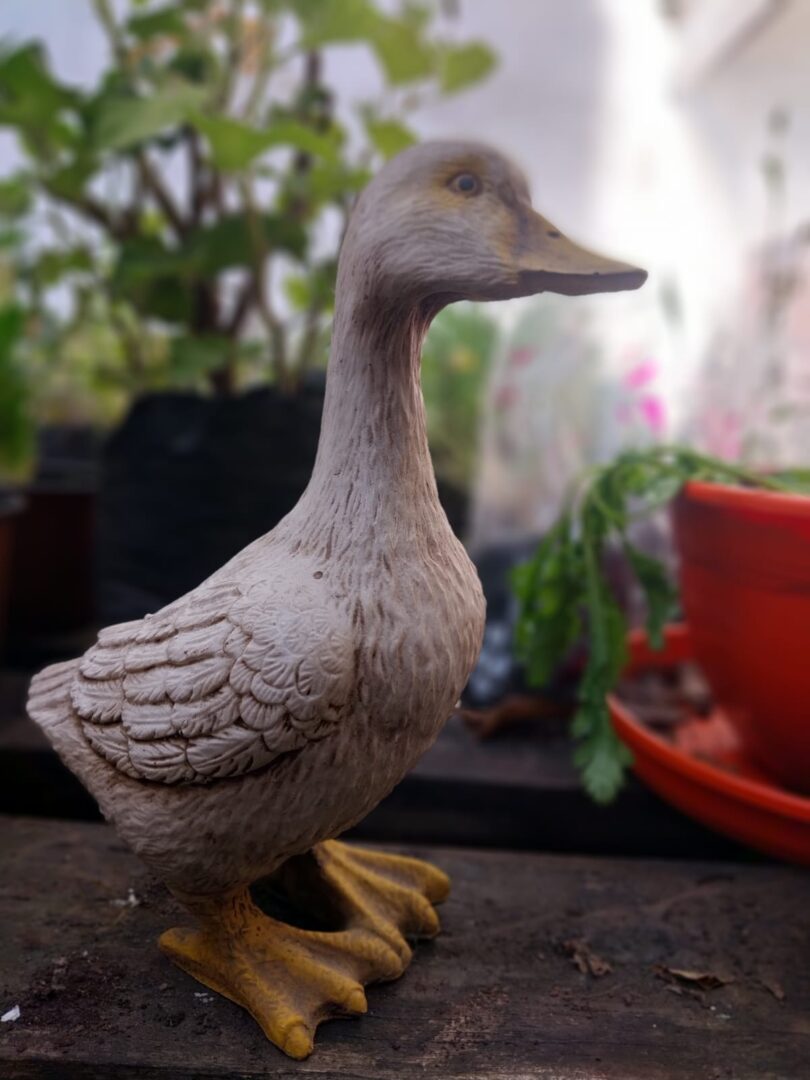 Adorno Pato Chicos 22 Cm.