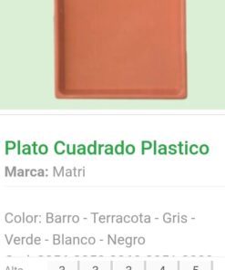 Plato Cuadrado 25