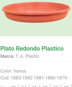 Plato Clasico Nº 12