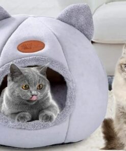 Moises Oso De Peluche XL (40x40x40)